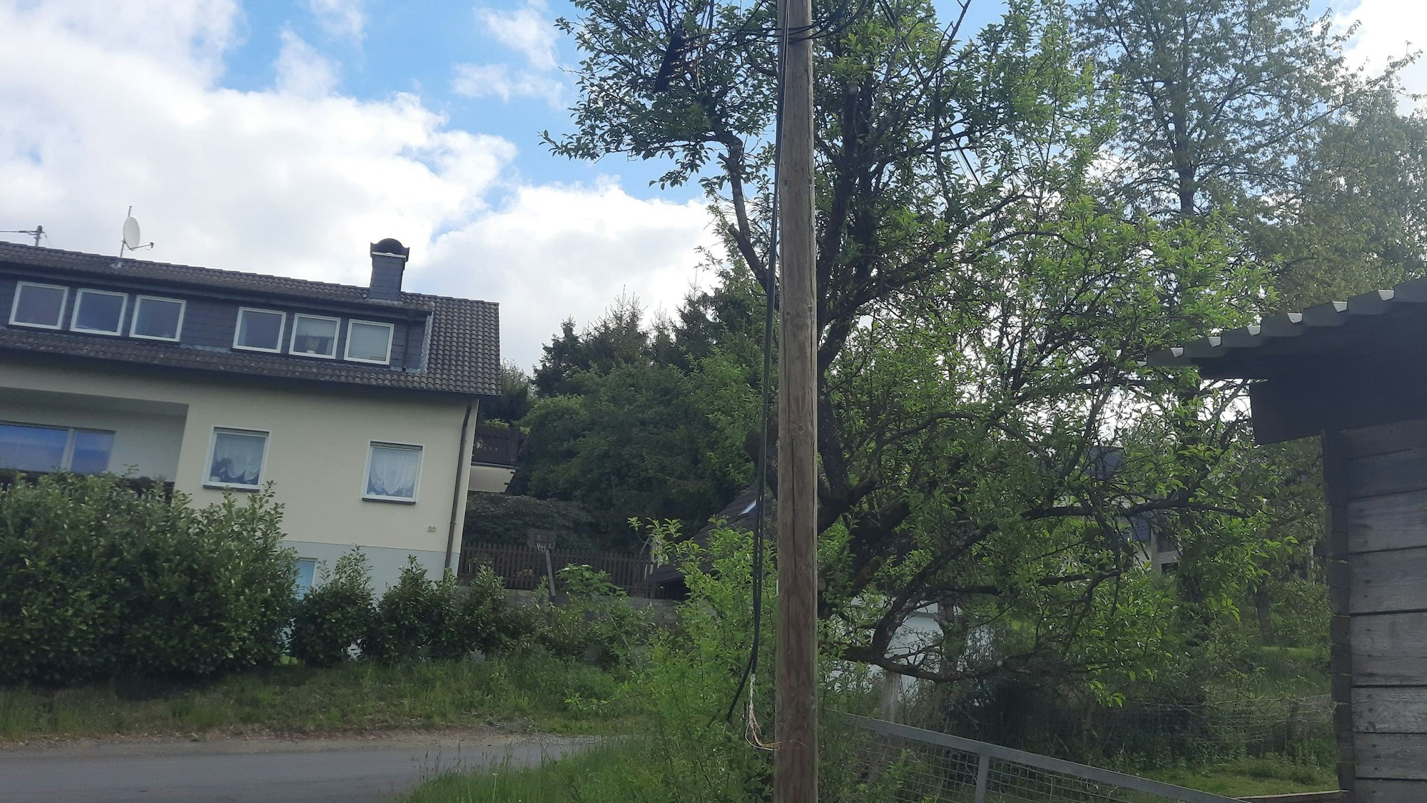 In der Waldbröler Ortschaft Schnörringen hat Wastl Roth-Seefrid jüngst diese abgerissene Breitbandleitung fotografiert.