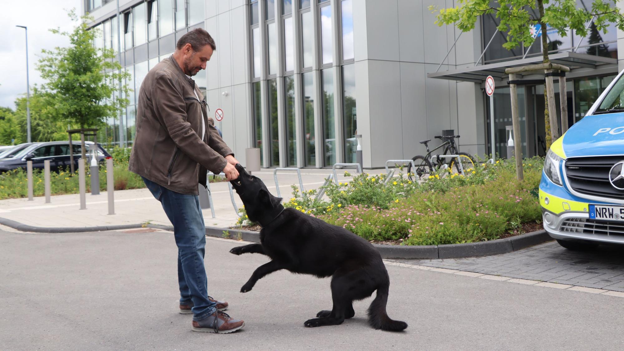 Auf dem Bild ist ein Mann zu sehen, der mit einem Schäferhund spielt.
