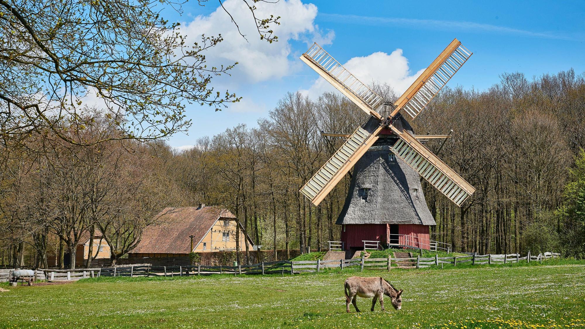 Bockwindmühle im Freilichtmuseum Kommern