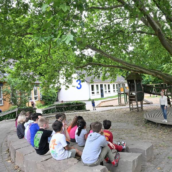 Auf Steinblöcken sitzen Kinder unter dem Blätterdach einer Platane.