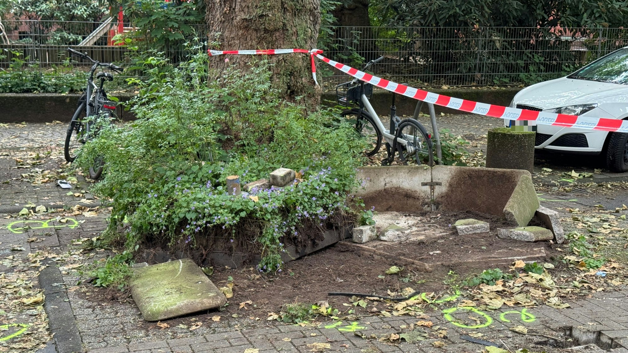 Der zerstörte Blumenkübel.