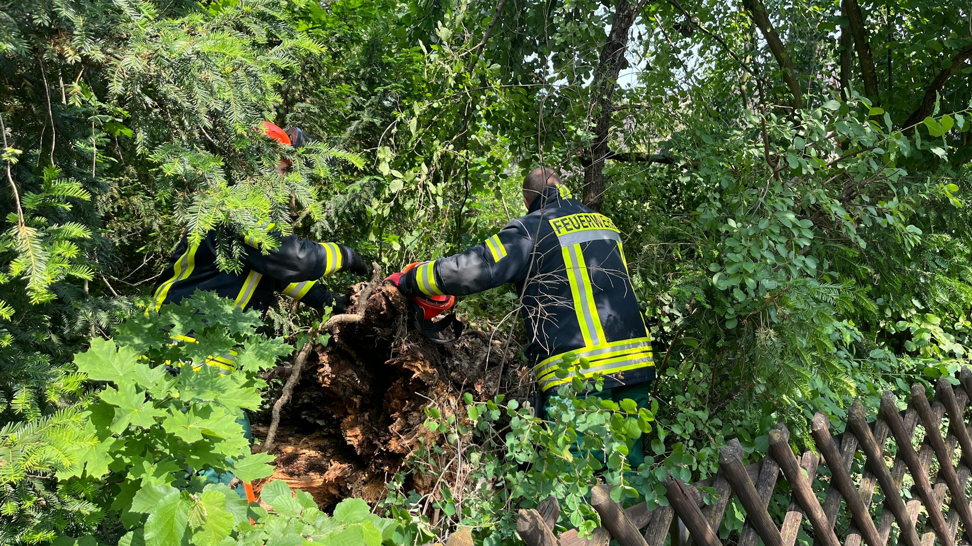 In Troisdorf stürzte ein Baum vom Nachbargrundstück auf das Dach eines Hauses und durchschlug die Dachhaut.