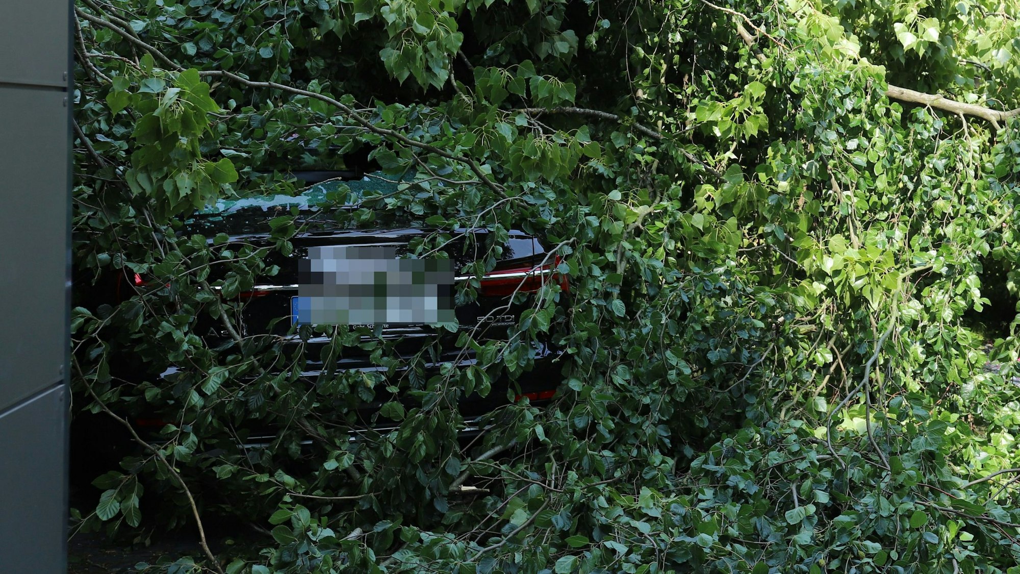 Eine Auto wurde unter Laub und Holz begraben.