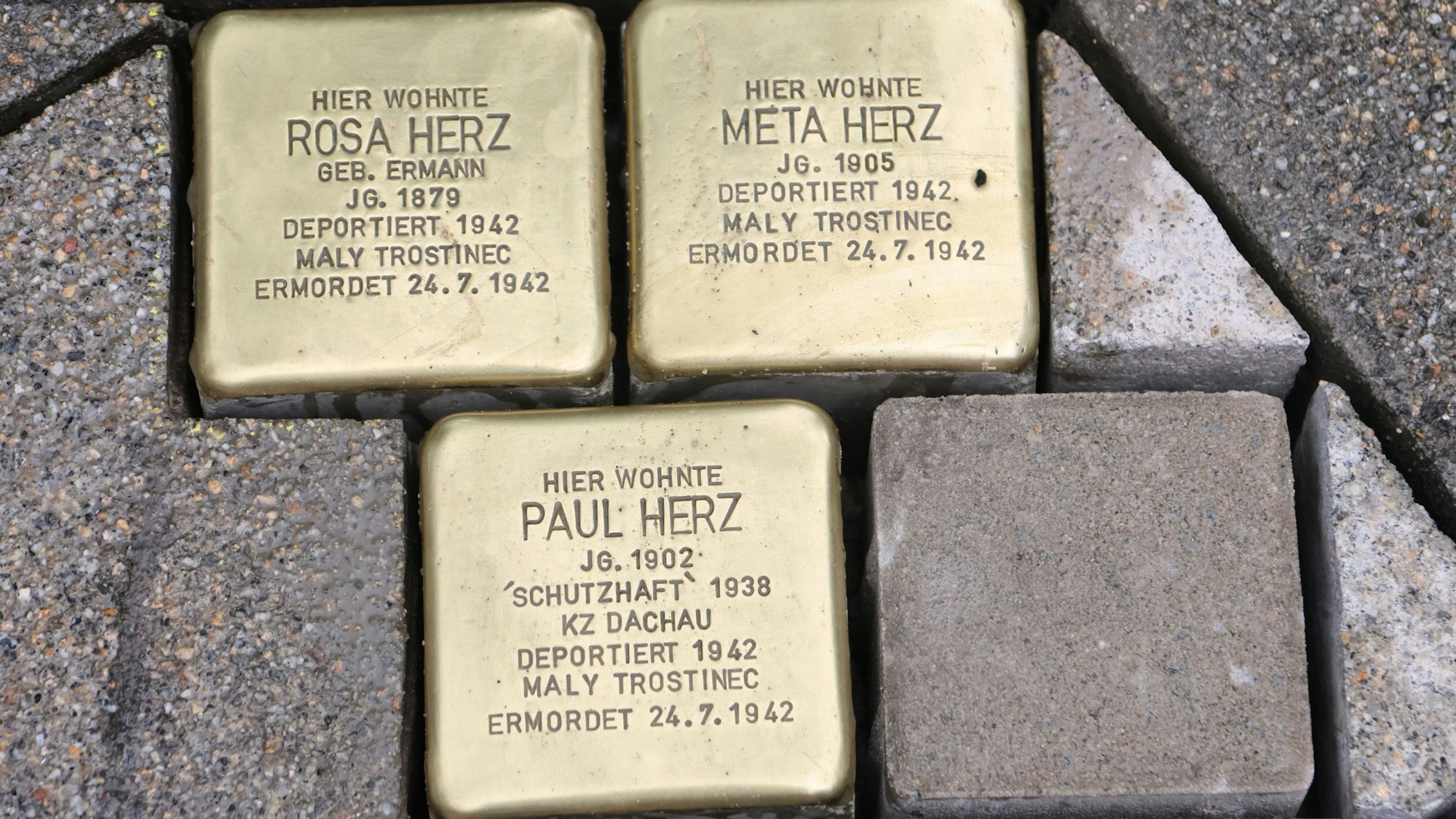 Stolpersteine für die Familie Herz.