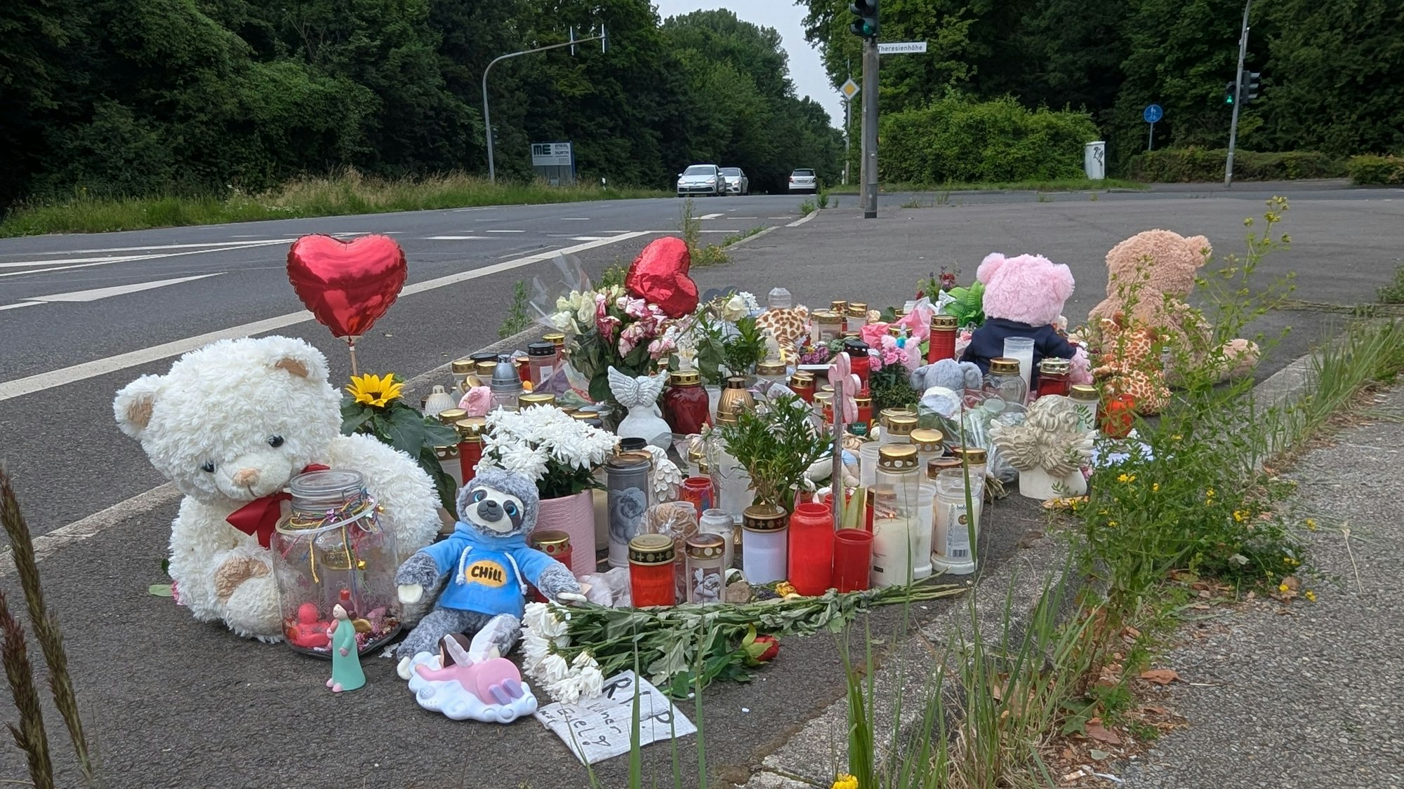 Das Foto zeigt die Gedenkstätte in der Nähe der Unfallstelle.