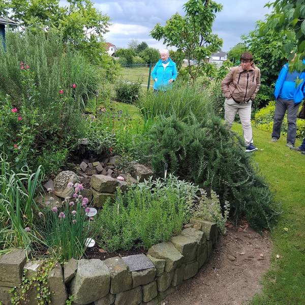 Menschen betrachten eine Kräuterspirale in einem Garten.