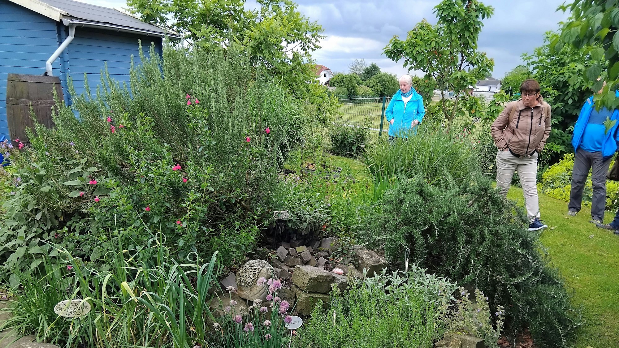 Menschen betrachten eine Kräuterspirale in einem Garten.