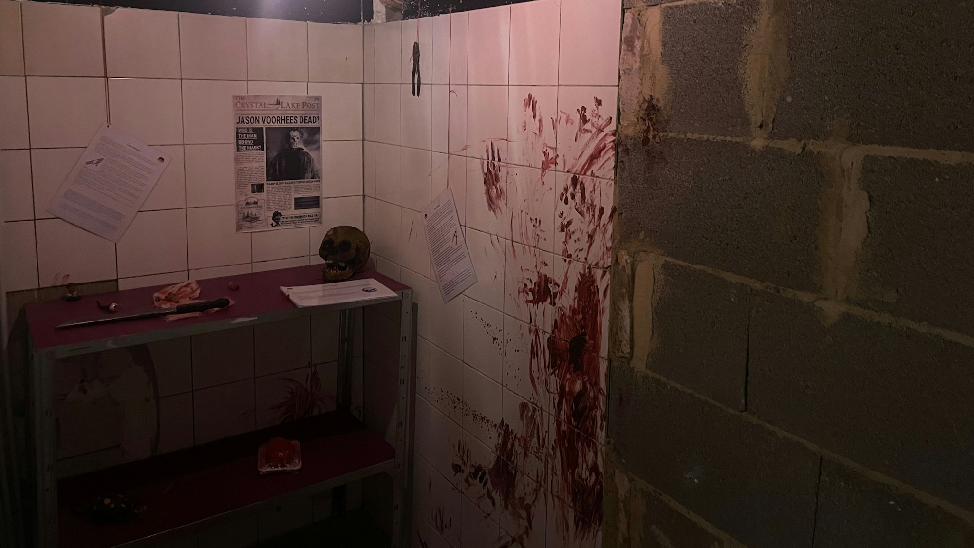Im Keller befindet sich ein kleiner True-Crime-Bereich mit Horrorgeschichten.