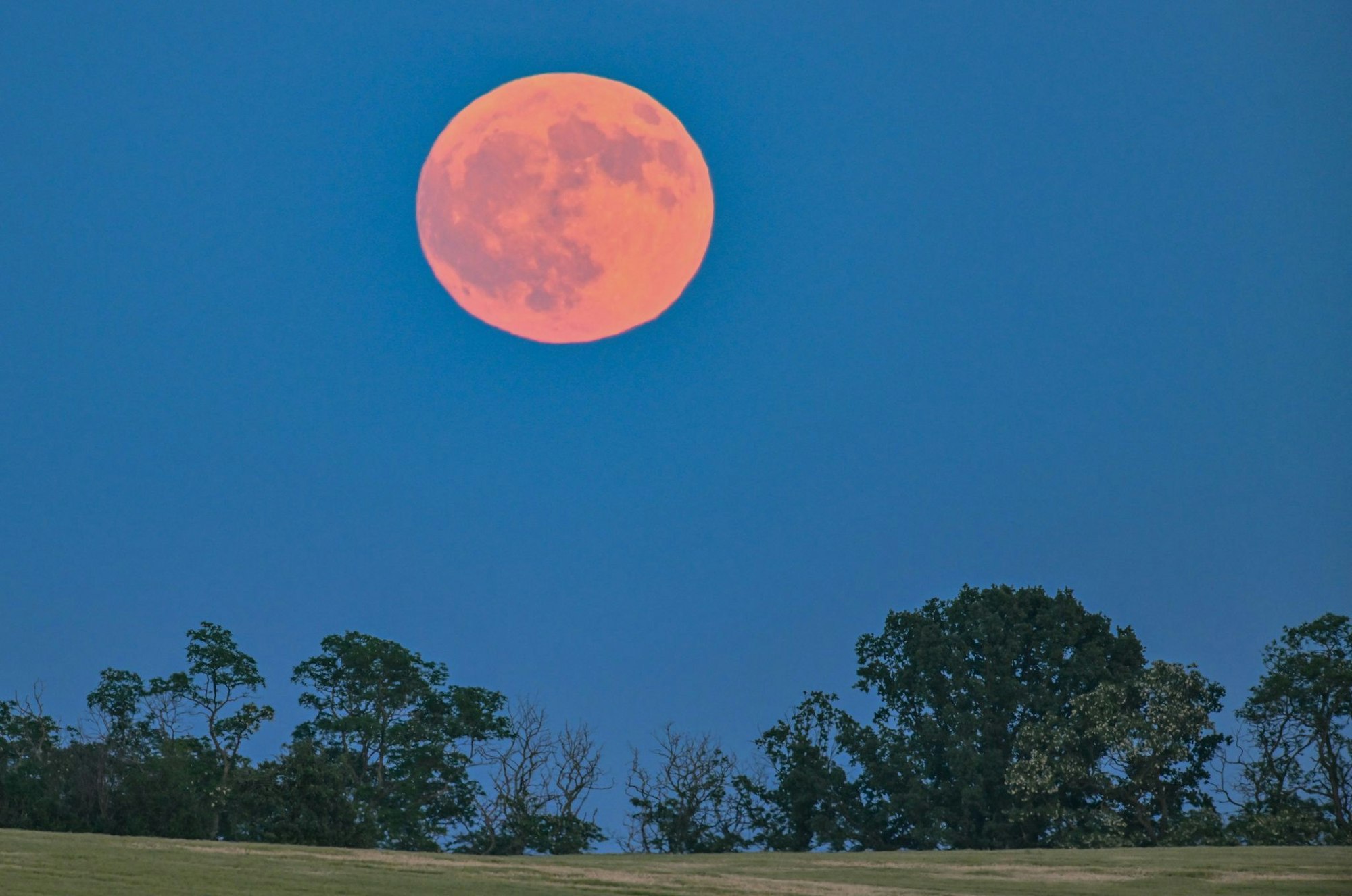Blassroter Mond am Abendhimmel. (Archivbild)