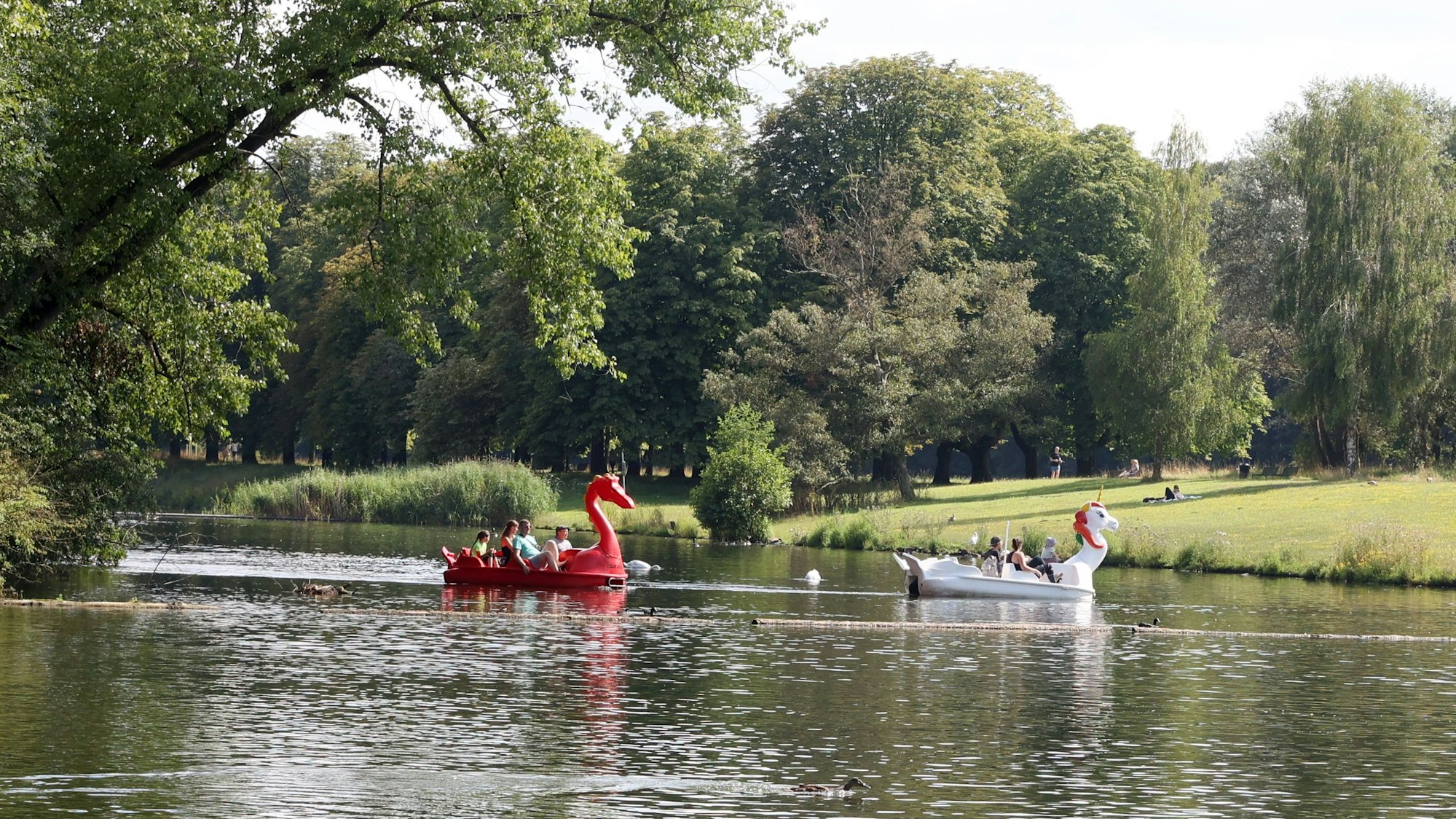 28.07.2024
Köln:
Tretboot fahren am Decksteiner Weiher.
Die Tretboote habe lustige Formen:
Einhorn und Drachen