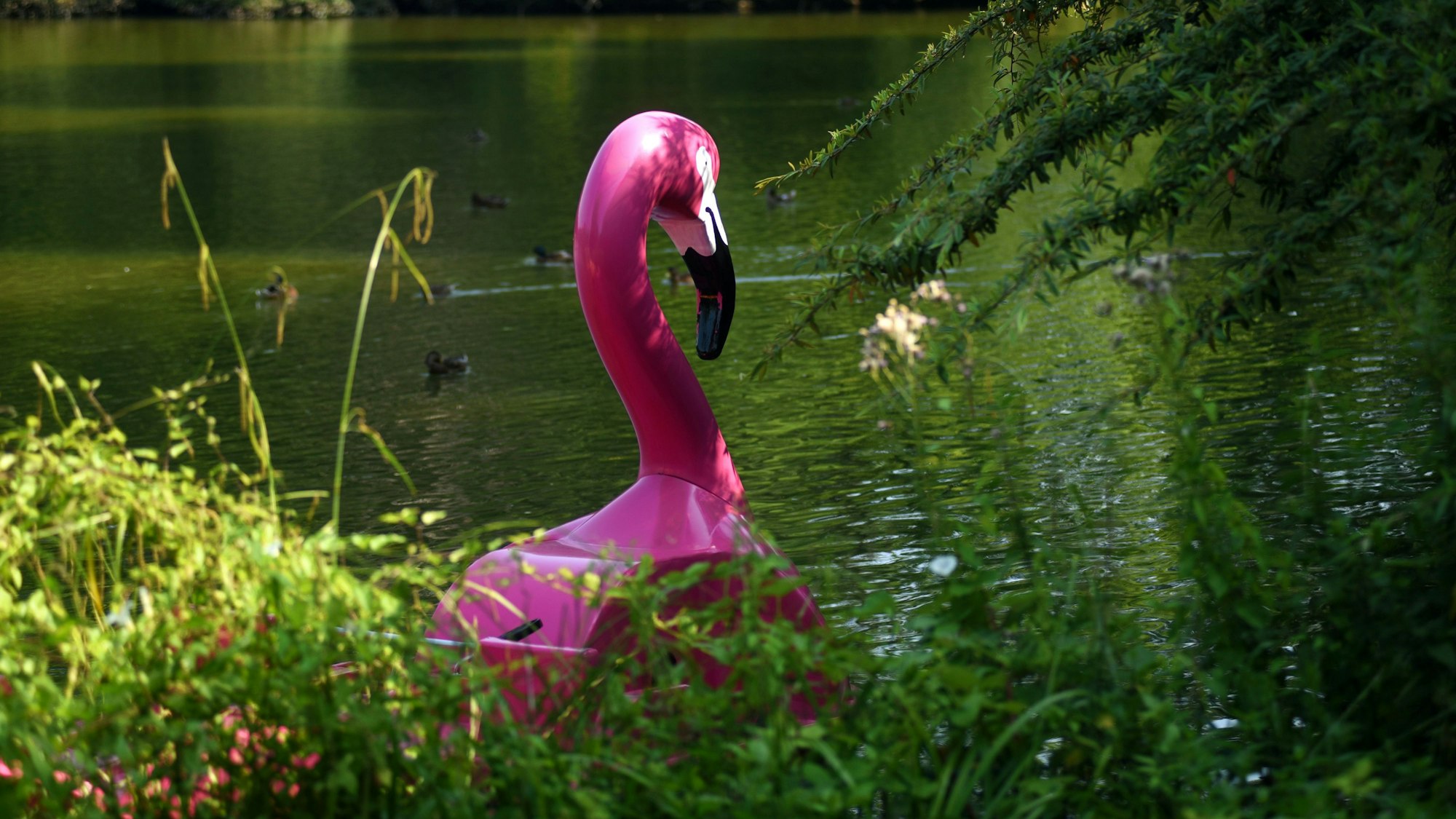 23.07.2021, Köln: Serie Kölner Parkanlagen, der Stadtwald in Lindenthal mit Weiher und Booten.