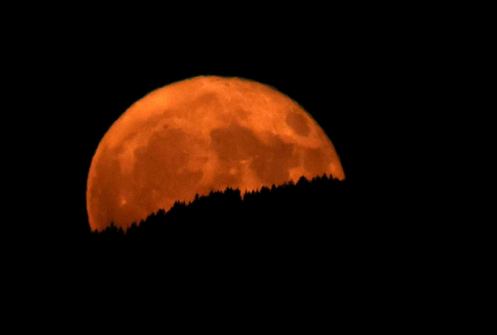 In Oberbayern wirkte der aufgehende Erdbeermond hinter dunklen Wäldern besonders groß.
