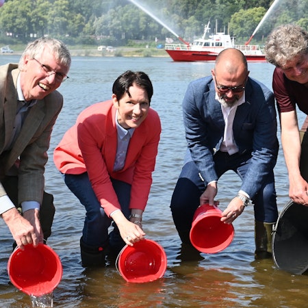 Ein länderübergreifendes Zeichen für die Artenvielfalt (v.l.n.r.): Staatssekretär Dr. Erwin Manz aus Rheinland-Pfalz, NRW-Landwirtschaftsministerin Silke Gorißen, Staatssekretär Daniel Köfer aus Hessen und der Präsident des Rheinischen Fischereiverbandes Uli Beyer setzen Maifischlarven im Rhein aus.