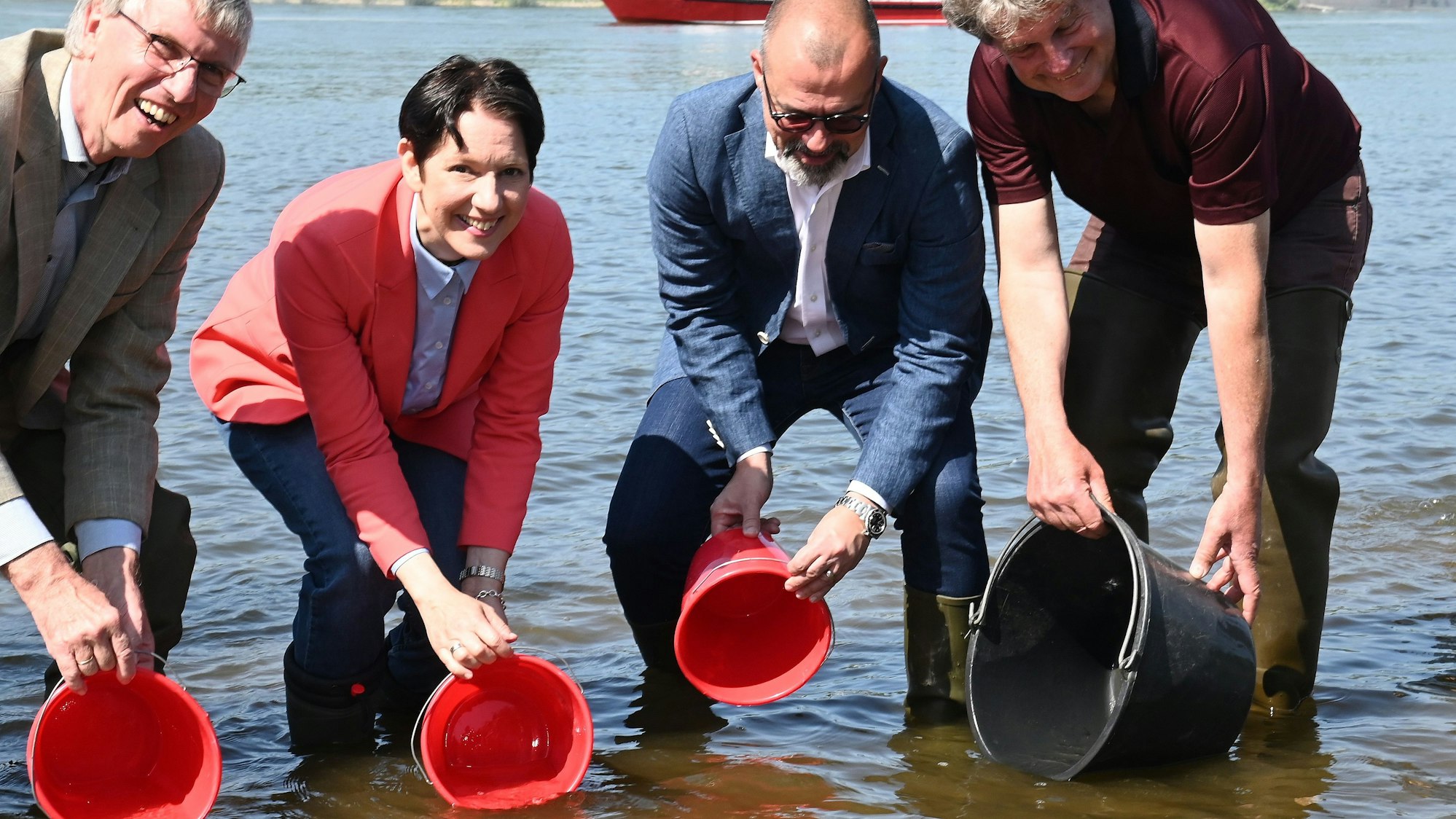 Ein länderübergreifendes Zeichen für die Artenvielfalt (v.l.n.r.): Staatssekretär Dr. Erwin Manz aus Rheinland-Pfalz, NRW-Landwirtschaftsministerin Silke Gorißen, Staatssekretär Daniel Köfer aus Hessen und der Präsident des Rheinischen Fischereiverbandes Uli Beyer setzen Maifischlarven im Rhein aus.