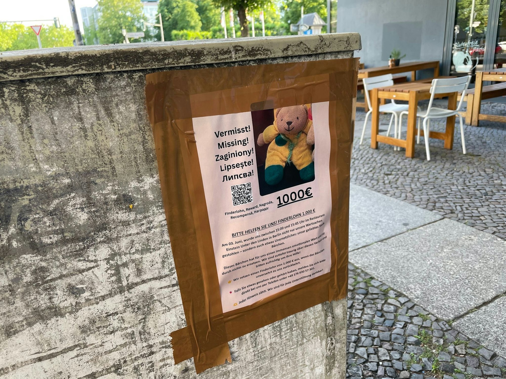 1.000 Euro Finderlohn sind auf Steckbriefen ausgesetzt. (Archivbild)