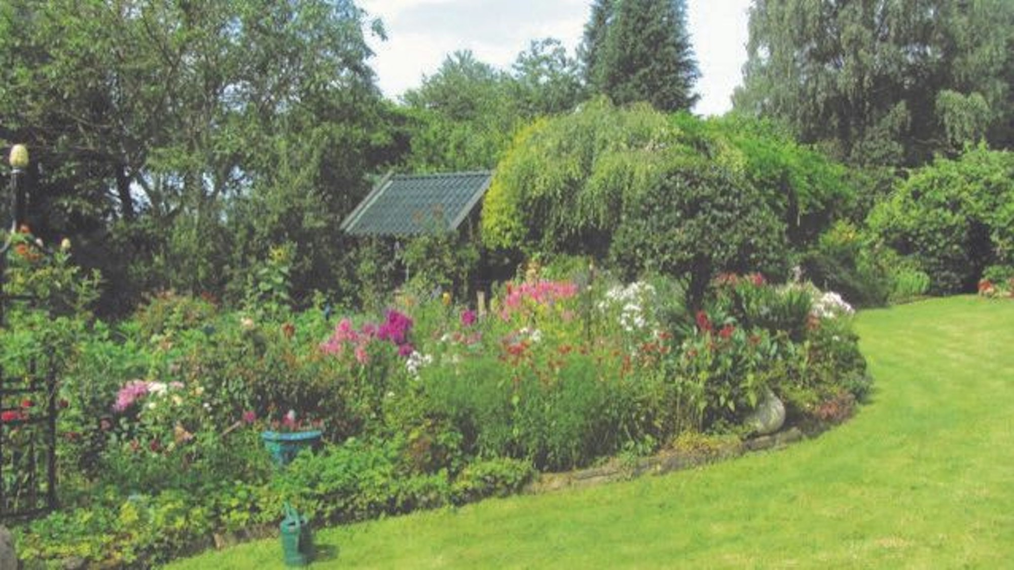 Verschiedene Blumen reihen sich in einem Beet aneinander.