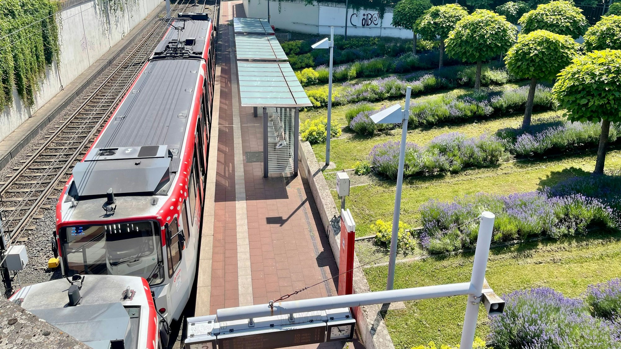 Die Bahn der Linie 66 wird 56 Grad heiß. Auf der Grünfläche sind es nur 35 Grad. Diese Werte zeigte der Hitzemesser an.