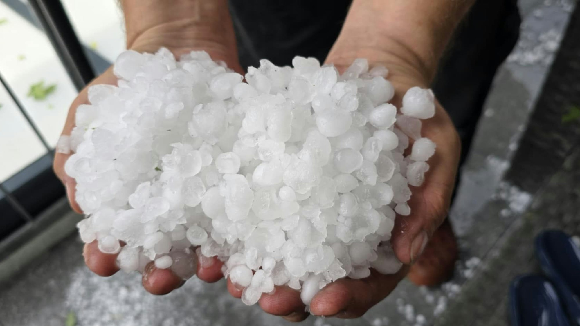 Eine Frau hält Hagelkörner in ihren Händen.