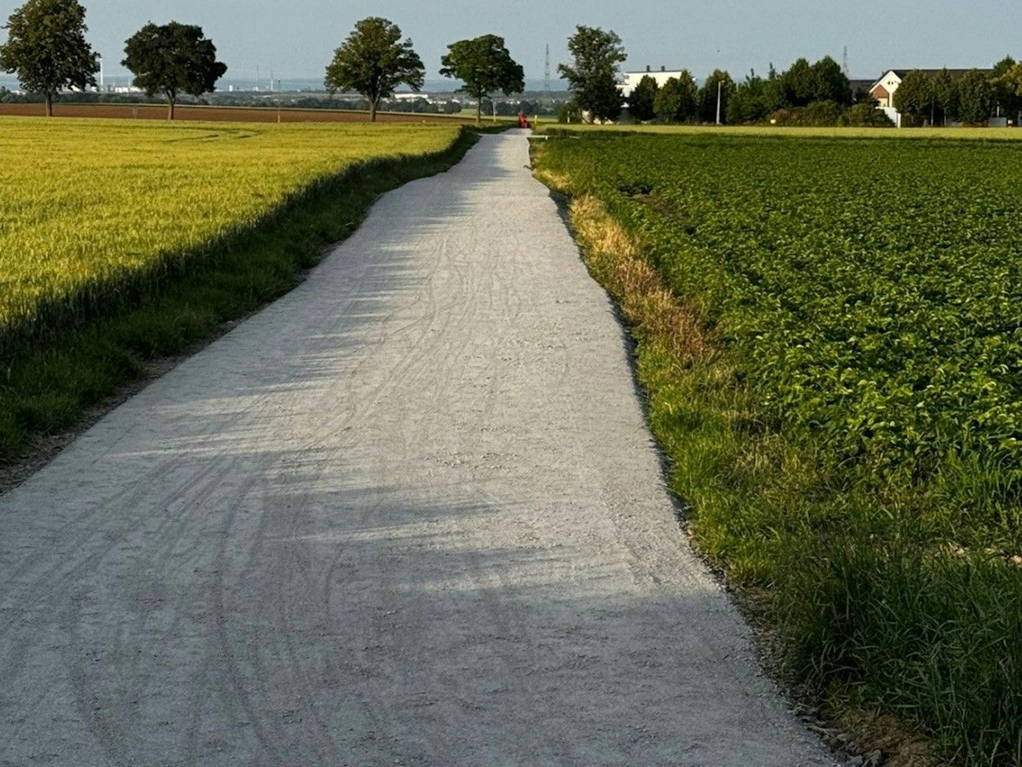 Auf dem Bild ist ein sanierter Feldweg zu sehen.