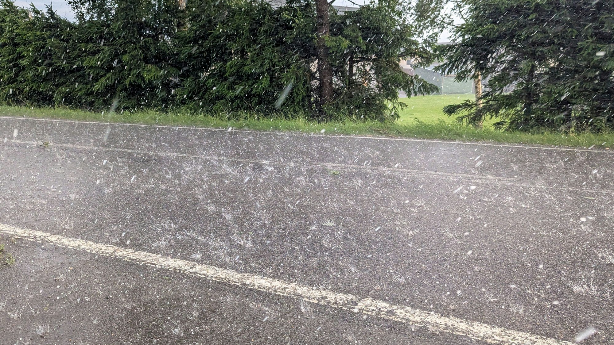 Hagel und starker Regen fiel am Wochenende, 14. und 15. Juni in vielen Teilen des Rhein-Sieg-Kreises.