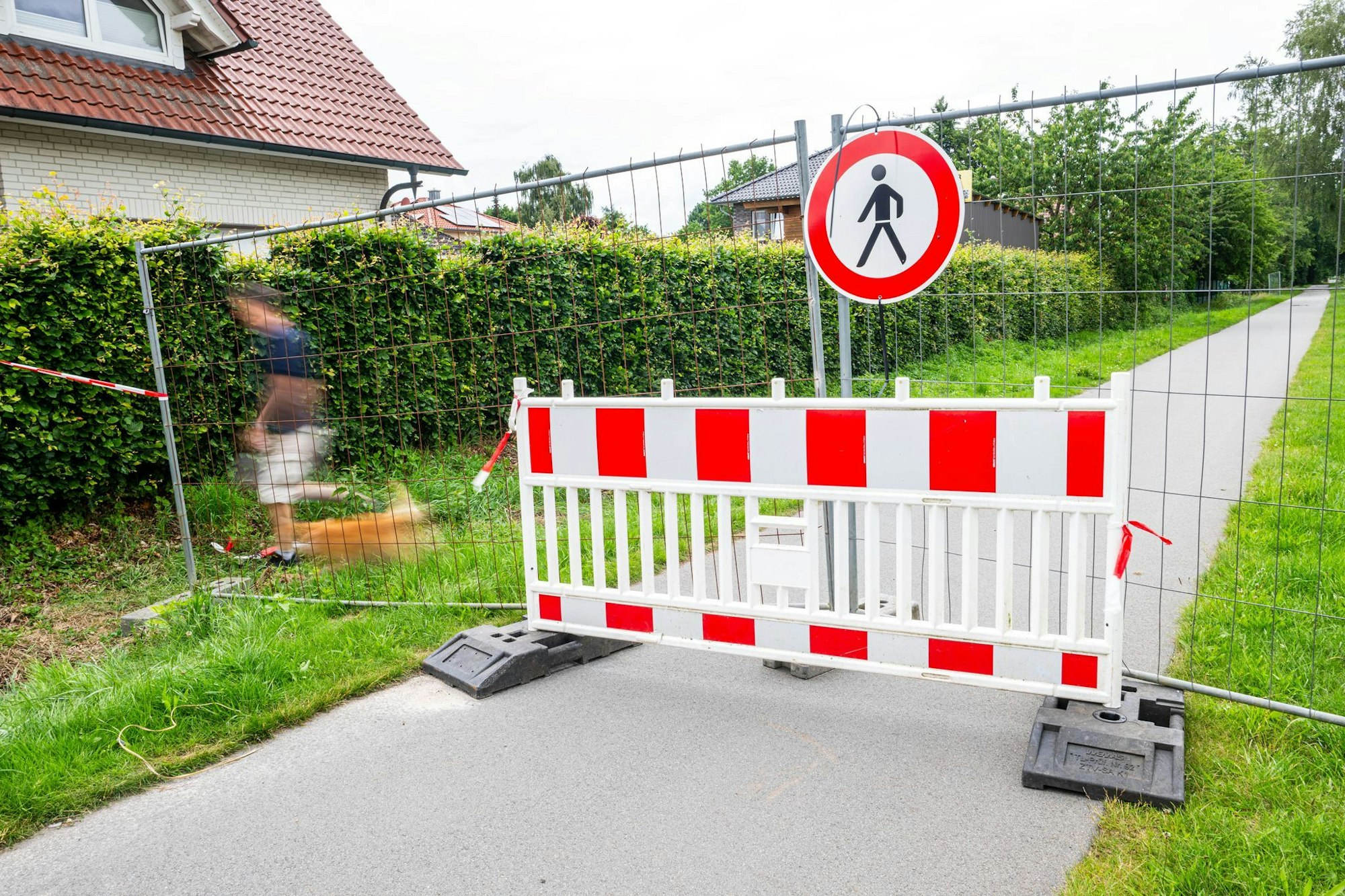 Die Absperrungen können entfernt werden. In Vechta muss kein Reptil geschützt werden.