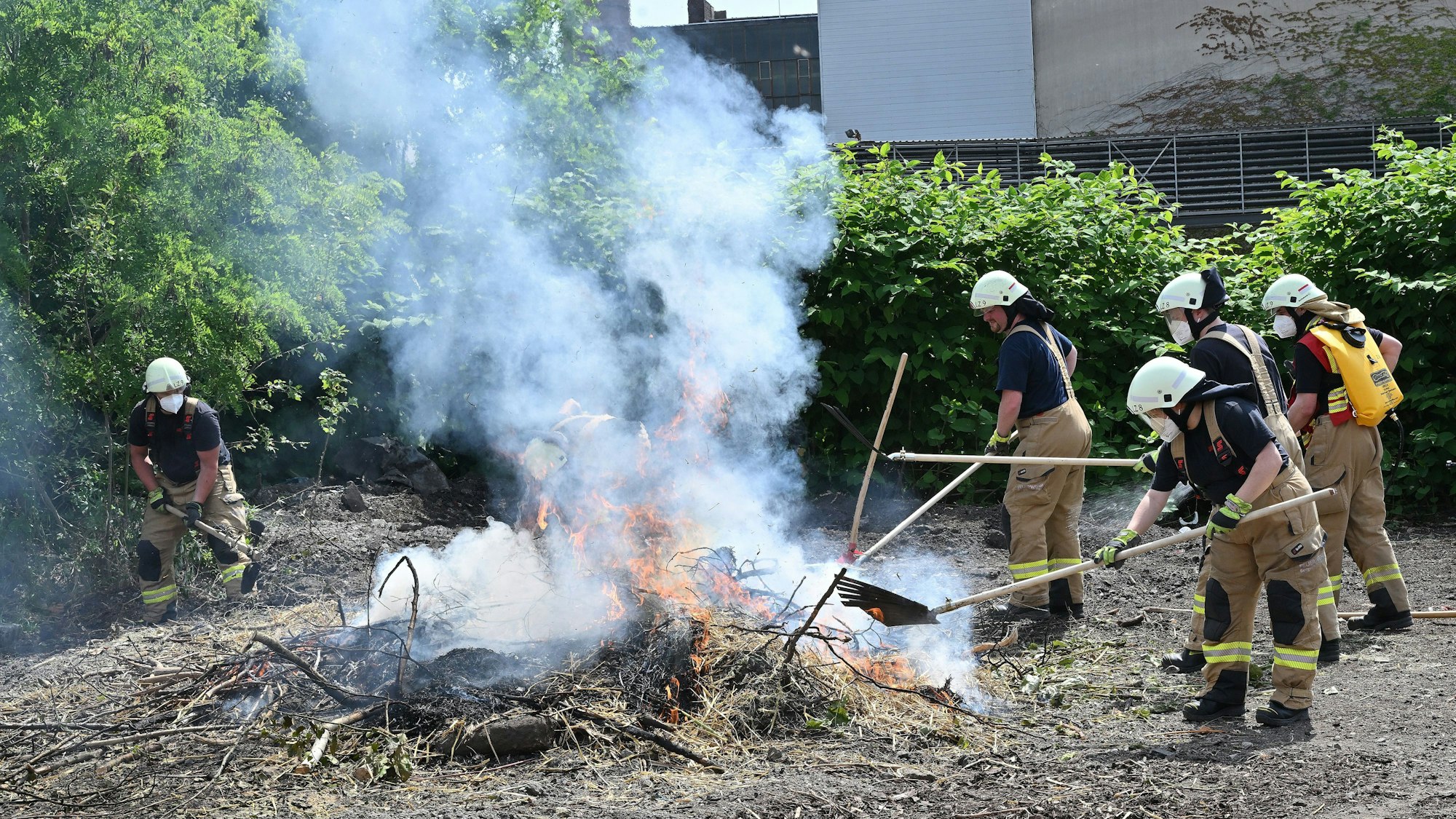 Feuerwehrleute löschen mit Feuerpatschen und einem Waldbrandrucksack einen Vegetationsbrand im Rahmen einer Übung auf dem Zanders-Gelände in Bergisch Gladbach.