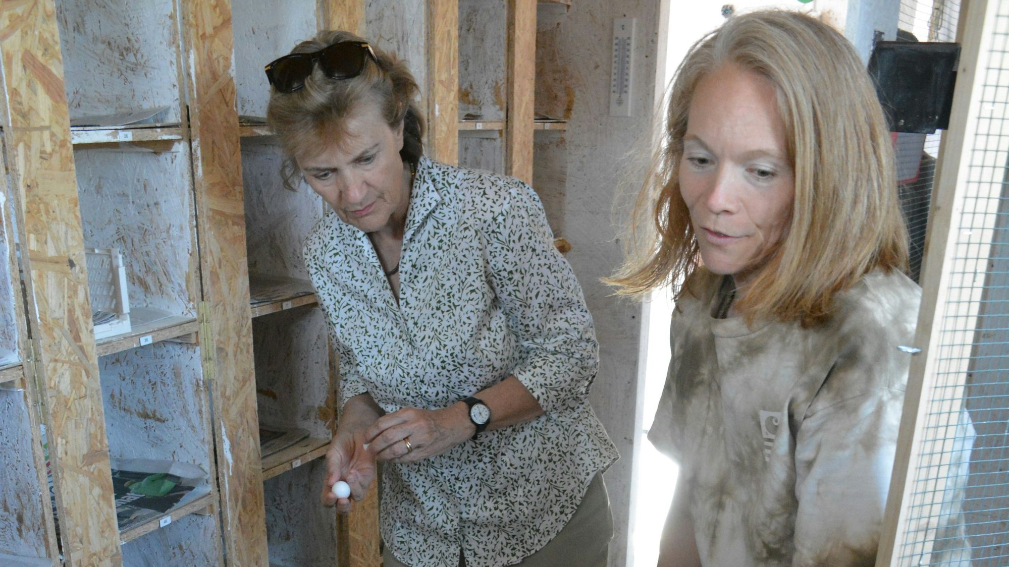 Bezirksbürgermeisterin Claudia Greven-Thürmer und Dr. Sarah Wirthele von den „Veedelstauben“ im Taubenhaus auf dem Parkdeck der Köln Arcaden an der Vietorstraße.