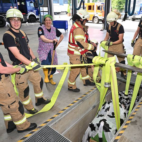 Bei der Jahresübung der Feuerwehr Bergisch Gladbach wird eine Kuh mit Schlauchschlingen aus einer Grube gehoben.