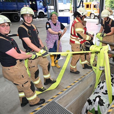 Bei der Jahresübung der Feuerwehr Bergisch Gladbach wird eine  Kuh mit Schlauchschlingen aus einer Grube gehoben.