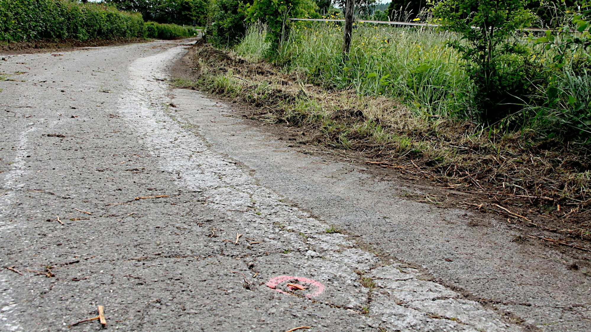 Das Bild zeigt einen Wirtschaftsweg, der von Hecken gesäumt wird.