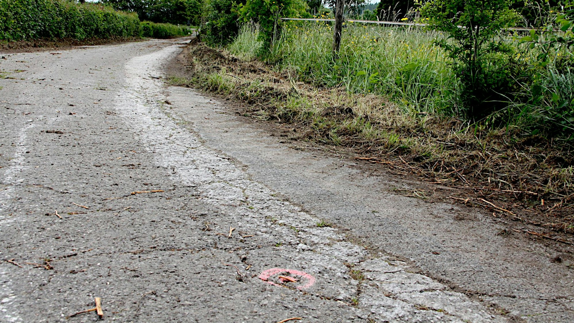 Das Bild zeigt einen Wirtschaftsweg, der von Hecken gesäumt wird.