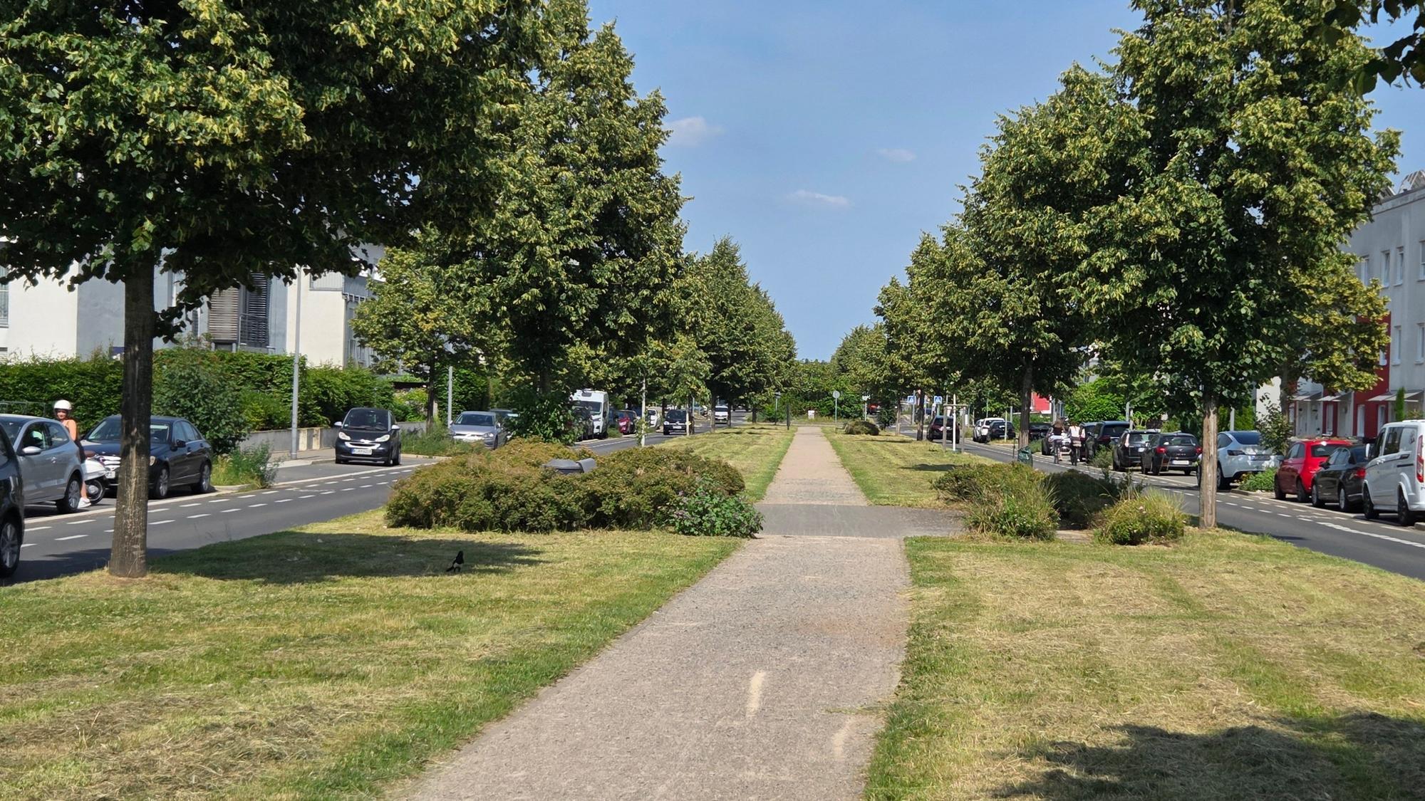 Auf dem Boulevard Unter Linden in Köln-Widdersdorf ist in der Mitte bereits 2007 Platz für die Stadtbahntrasse freigehalten worden.