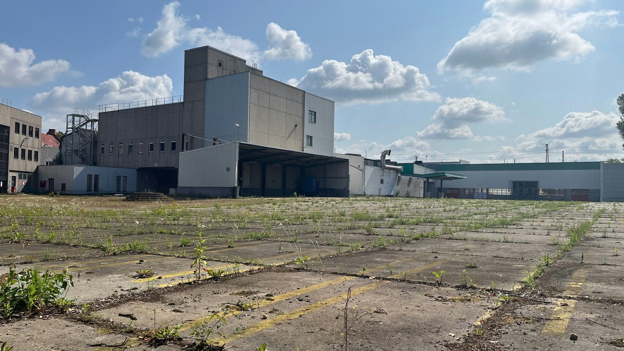 Blick auf das ungenutzte Areal.
