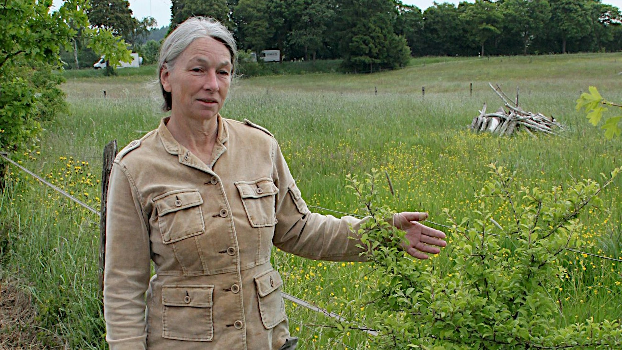 Das Bild zeigt eine Frau am Rand einer Wiese.
