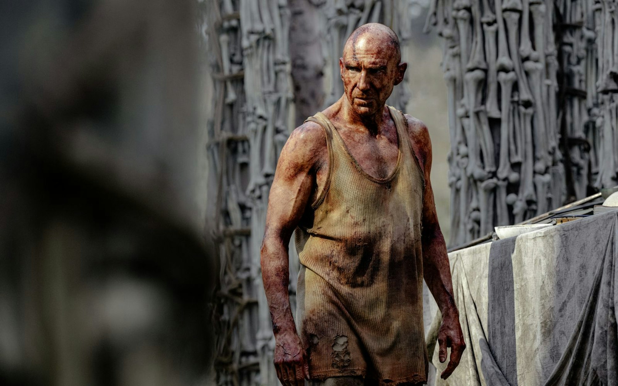 „28 Years Later“ zeigt die Welt nach knapp drei Jahrzehnten Zombie-Virus-Pandemie. In einer Hauptrolle dabei: Ralph Fiennes (Bild). (Bild: 2025 CTMG / Sony Pictures)