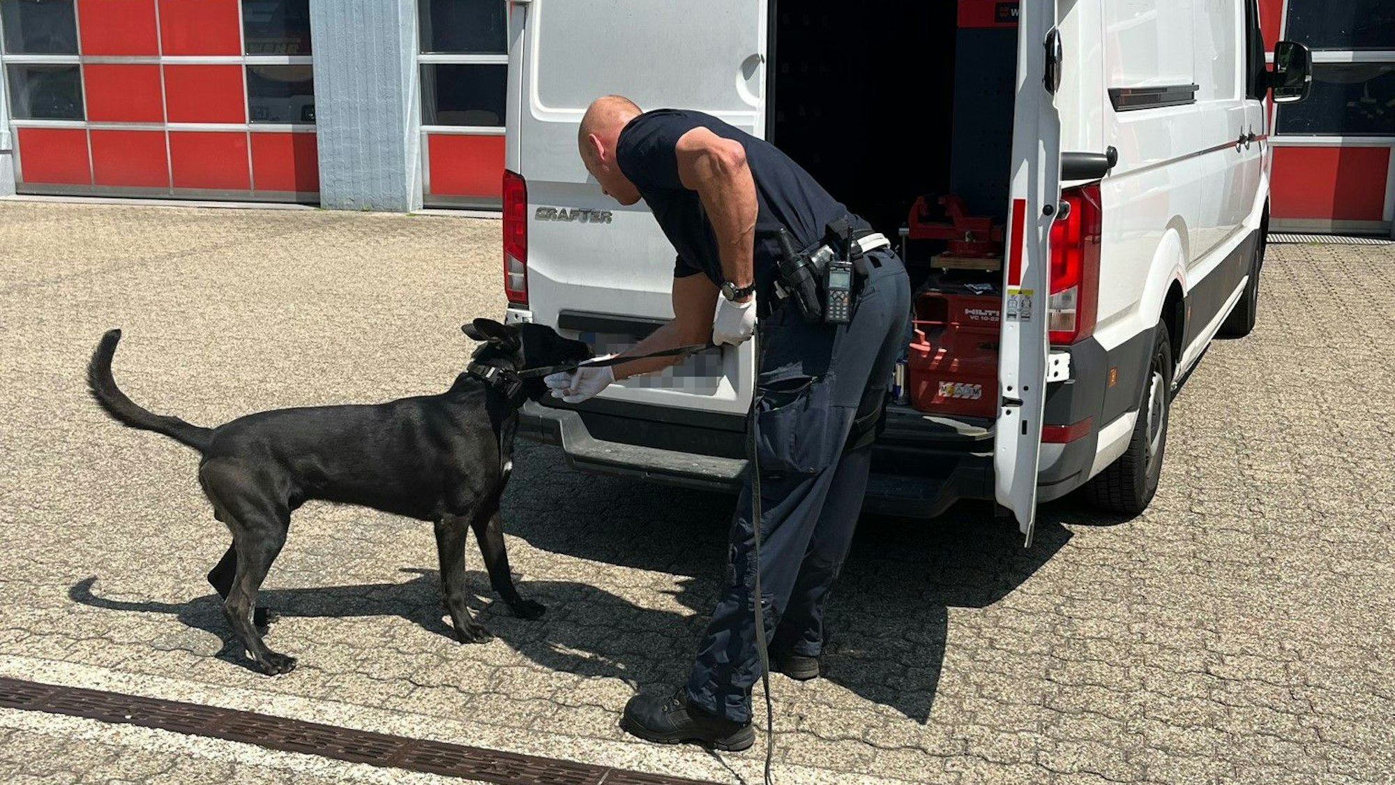 Roadpol Alcohol & Drugs