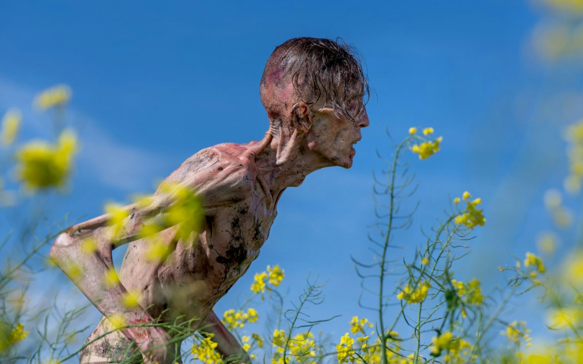 Aus Tagen wurden Wochen, Monate, Jahre: Danny Boyles Zombiefilm „28 Years Later“ erzählt die Geschichte weiter, die einst mit „28 Days Later“ begann. (Bild: 2024 CTMG / Sony Pictures)