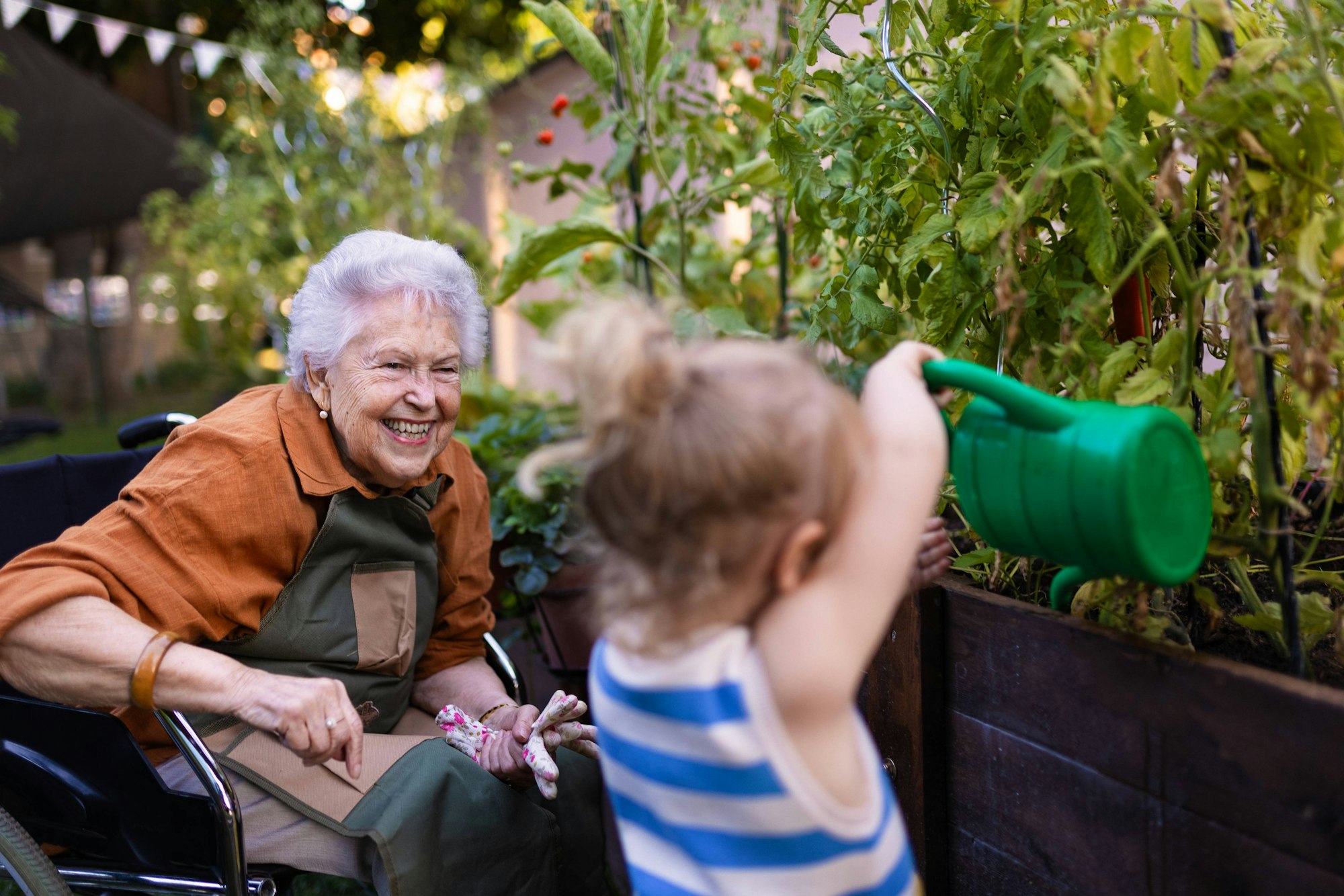 IMAGO Creative: Sommer, Sommertage im Garten IMAGO Creative: Garten, Anbau im Hochbeet Portrait of a little adorable girl helping her grandmother in the garden. Portrait of a little adorable girl working in garden her grandmother in wheelchair. A young girl watering plants, takes care of vegetables growing in raised beds. model released Copyright: xx HHH SENIOR URBAN GARDEN 2023 HHH 078.jpeg