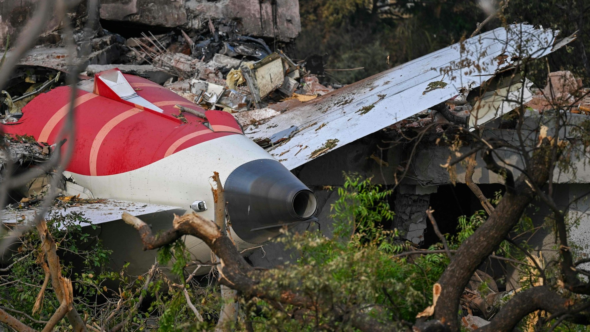 Beim Absturz des Passagierflugzeugs der Air India kamen 241 Insassen ums Leben.