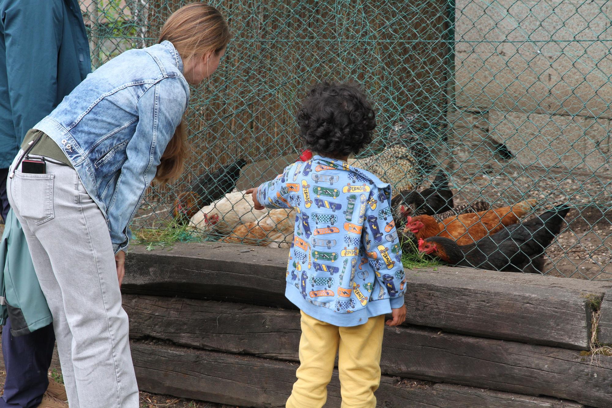 Fach-Pflegefamilien bieten Kindern eine Alternative zur Heimunterbringung.
