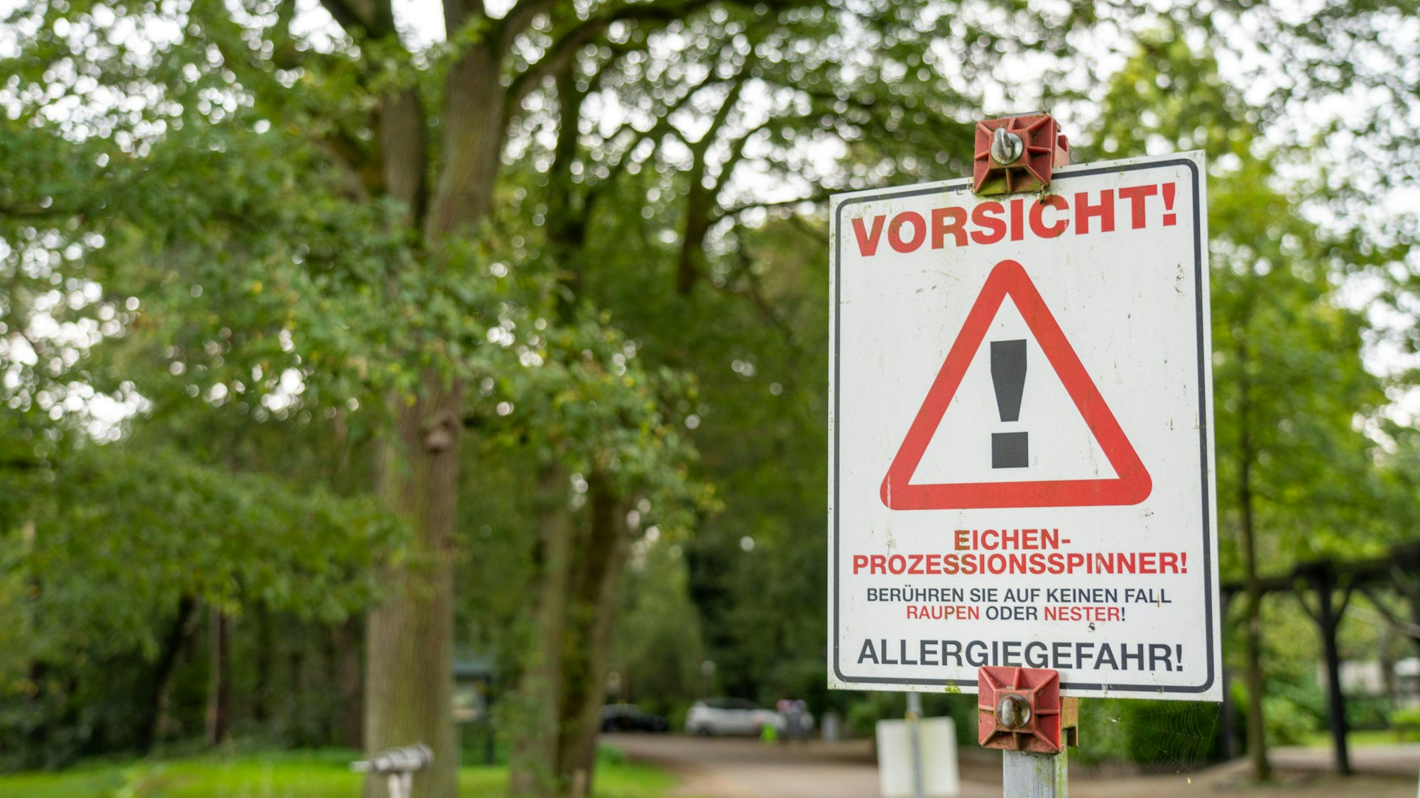 Ein Schild warnt vor den Gefahren des Eichenprozessionsspinners (Symbolfoto).