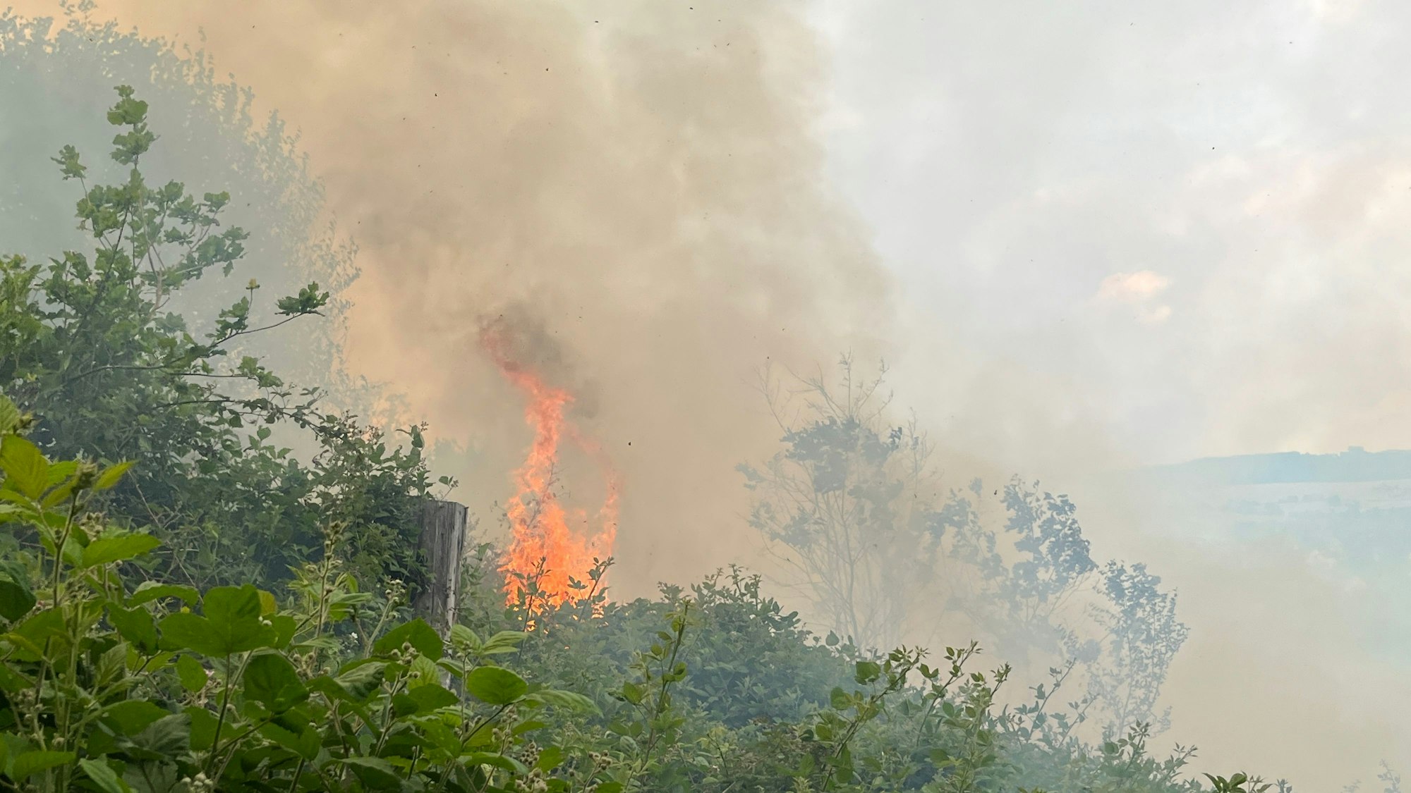 Hohe Flammen schlagen aus dem Wald bei Eitorf und brauner Rauch zieht in den Himmel.