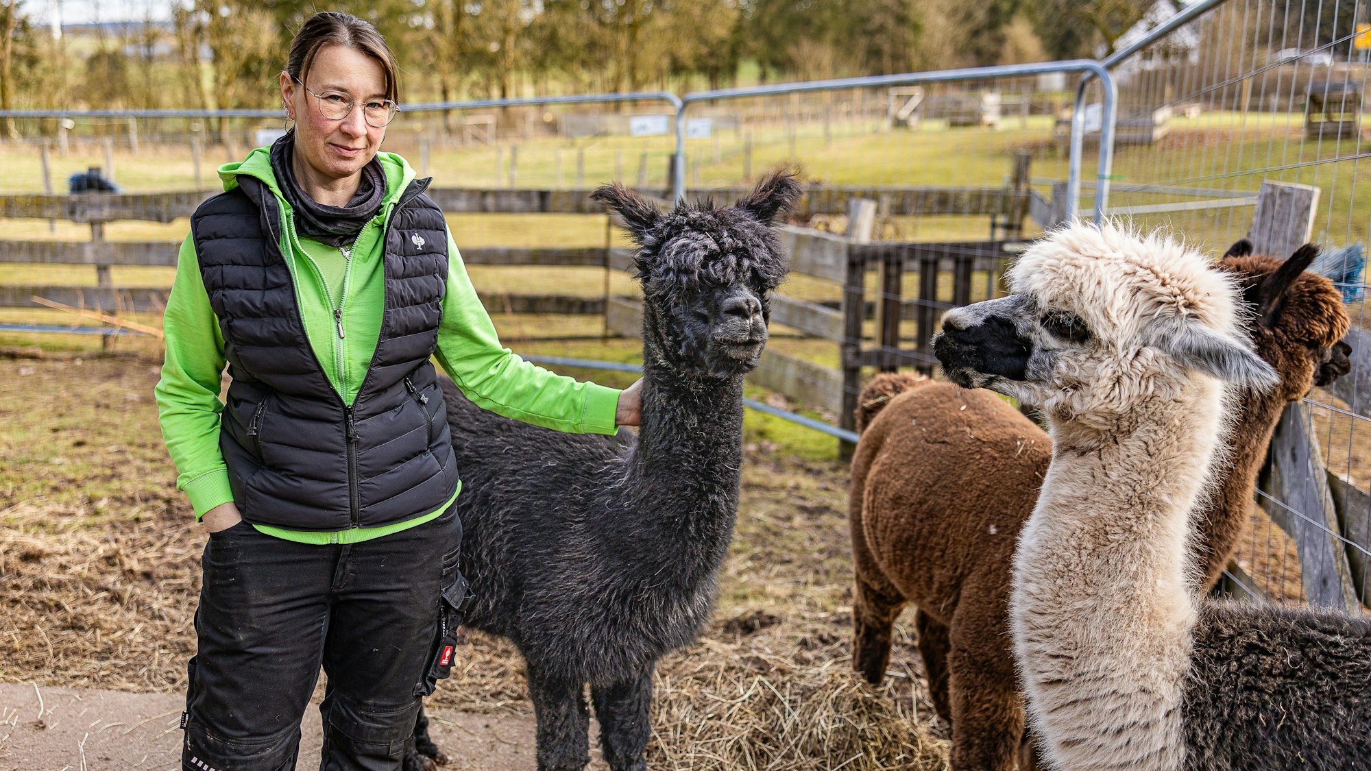 Sabine Heinemann im Gehege ihrer Alpakas, das sie derzeit mit Bauzäunen gesichert hat. Neben ihr ein schwarzes, ein weißes und ein braunes Alpaka.