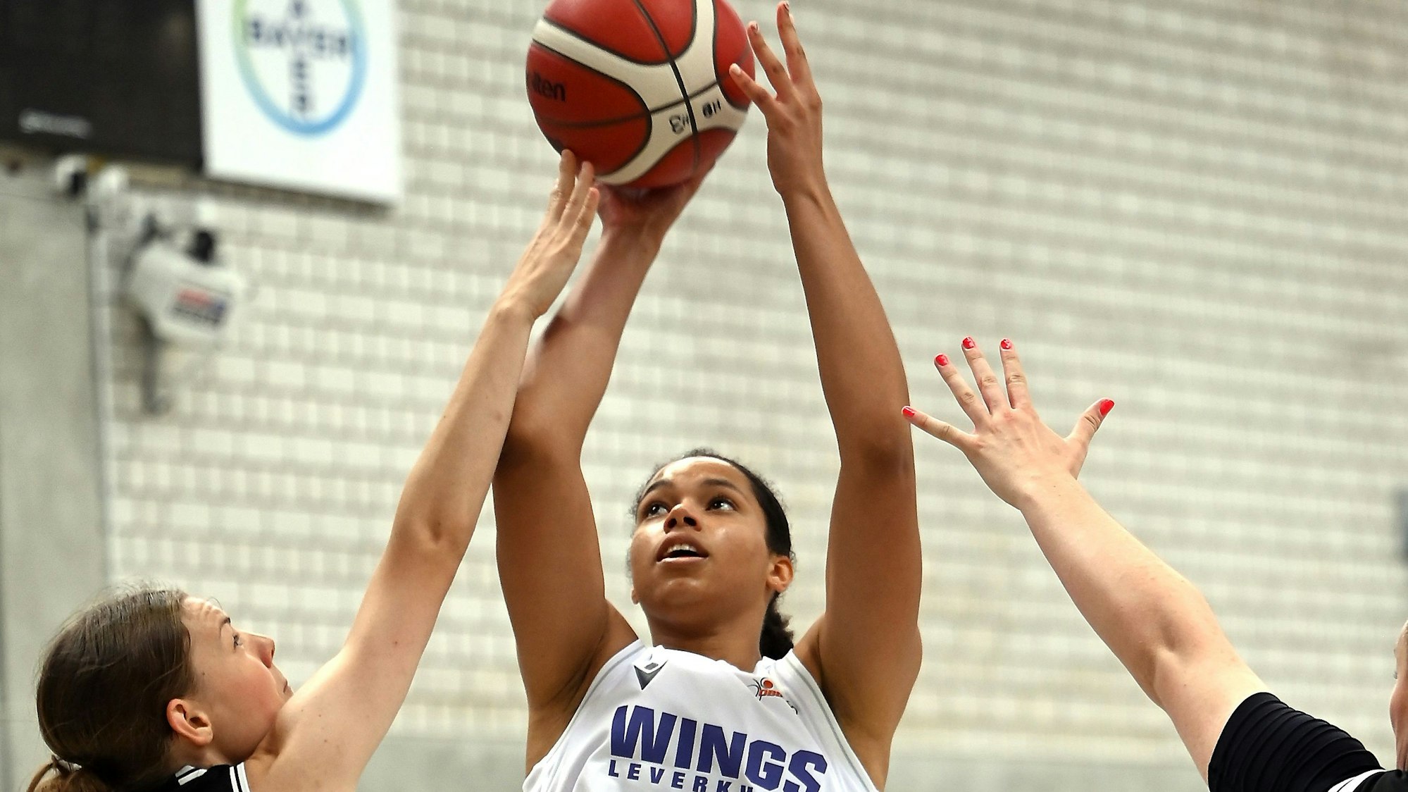 30.08.2024, Basketball-Wings Leverkusen - Rhöndorf
rechts: Oloivia Okpara (Wings)
Foto: Uli Herhaus