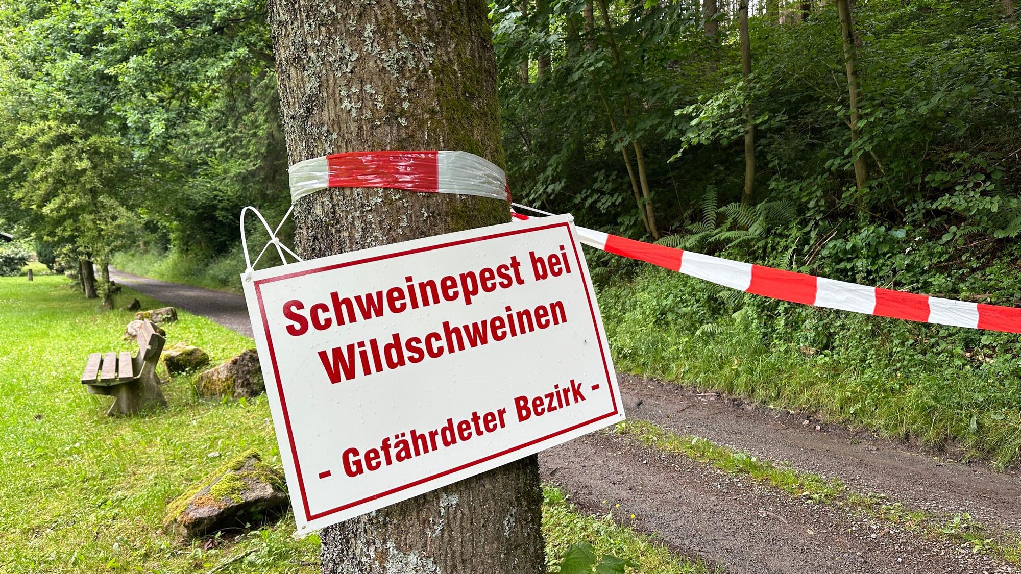 Nordrhein-Westfalen, Kirchhundem: Ein Schild warnt vor dem Ausbruch der Afrikanischen Schweinepest bei Wildschweinen