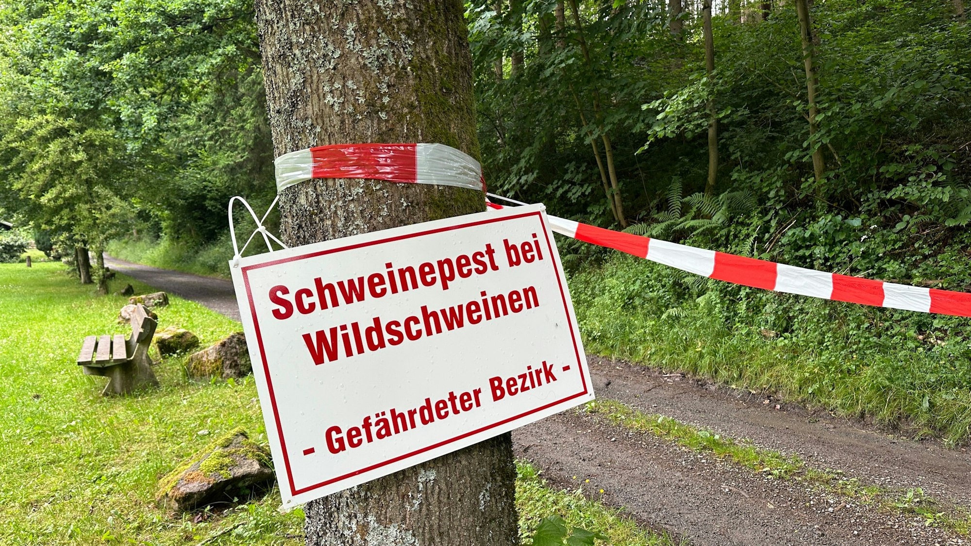 Nordrhein-Westfalen, Kirchhundem: Ein Schild warnt vor dem Ausbruch der Afrikanischen Schweinepest bei Wildschweinen