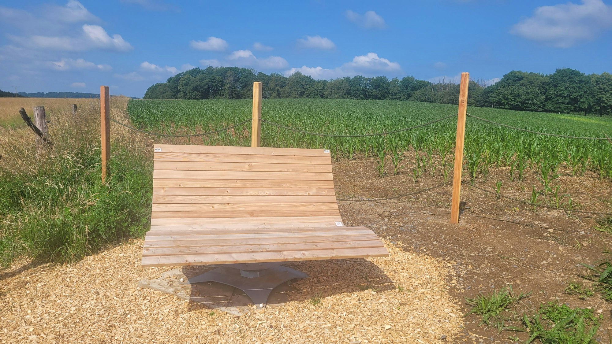 Das Foto zeigt eine Sitzbank im Grünen