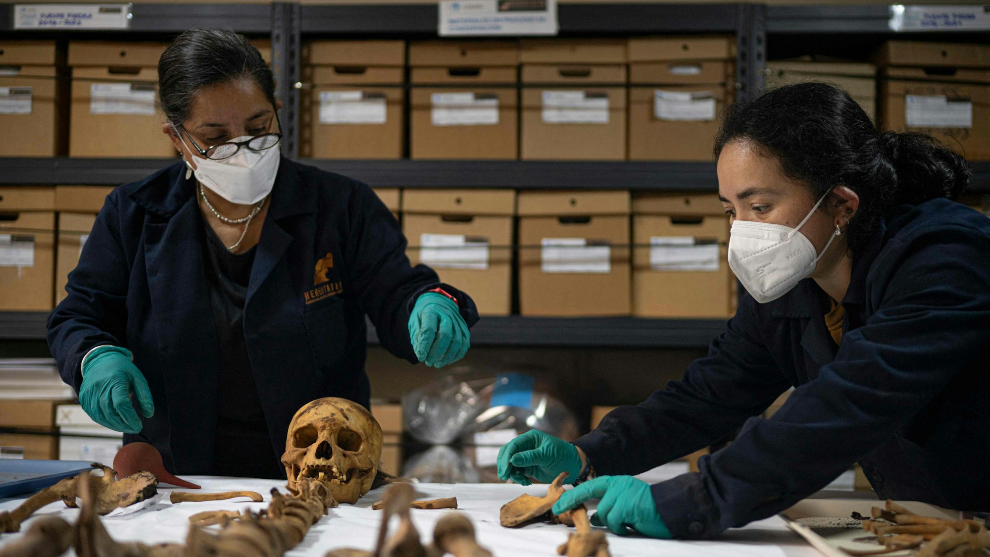 Archäologen sichern eine über 1.000 Jahre alte Mumie – entdeckt bei Bauarbeiten für eine Gasleitung mitten in Lima.