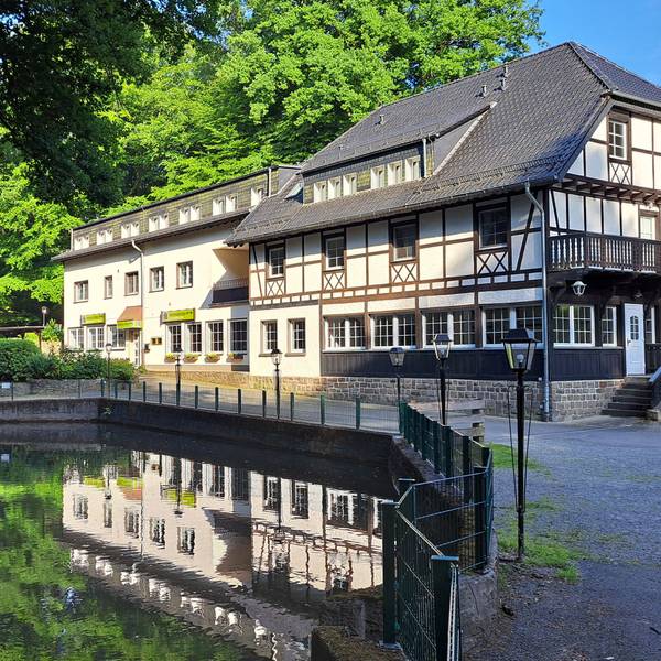 An einem Teich im Wald liegt die Forsbacher Mühle verlassen in der Sonne.