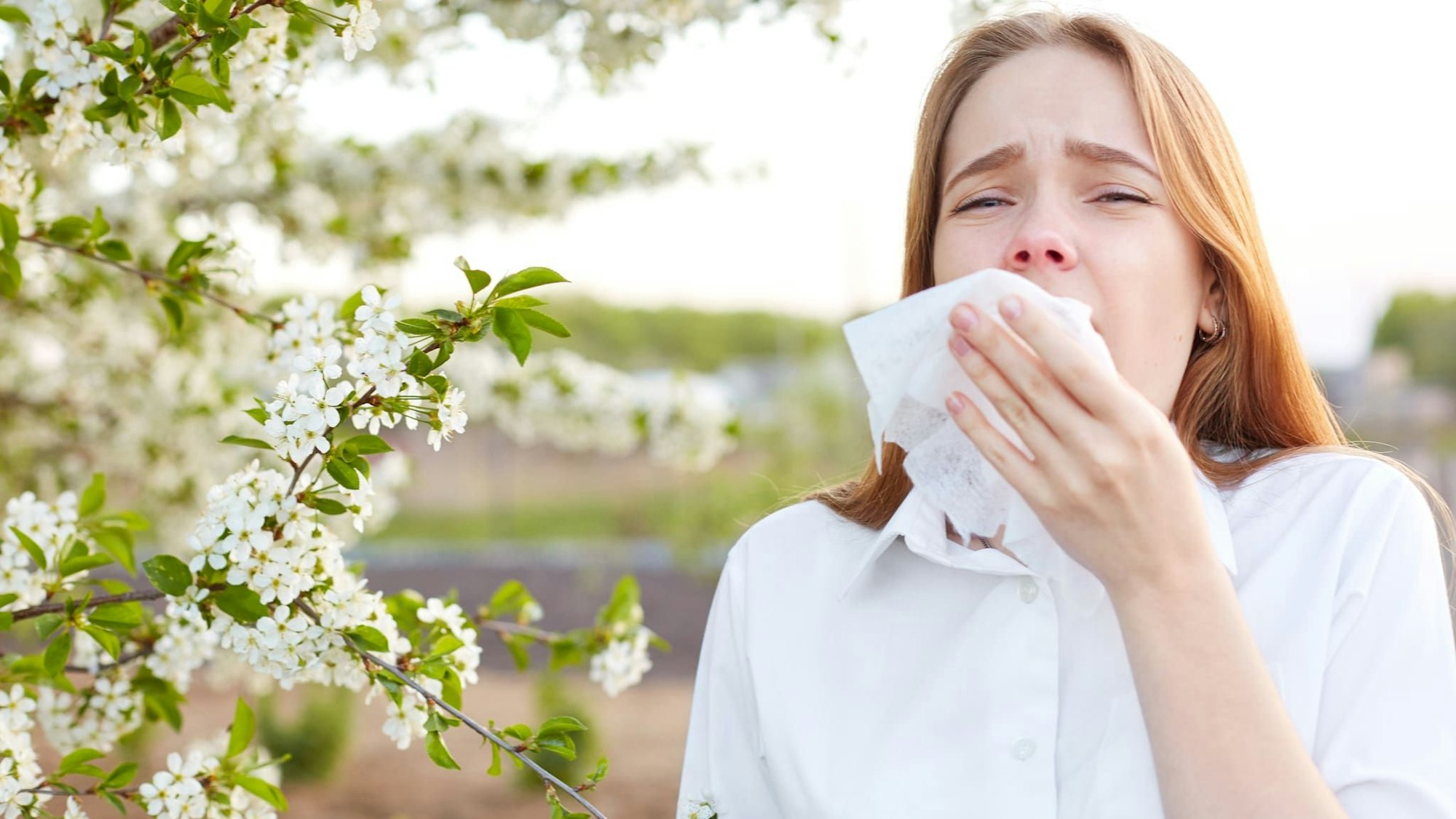 Alles blüht und duftet. Der Frühling zeigt sich in seiner vollen Pracht. Es könnte so schön sein, wenn da nicht diese leidige Pollen-Allergie wäre. Immer mehr Menschen reagieren allergisch auf die harmlosen Pollen und leiden unter den Symptomen.